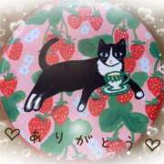 ヒメ日記 2024/12/16 23:12 投稿 櫻子(さくらこ) PLUS梅田店