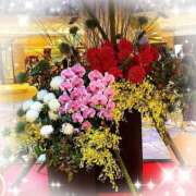 ヒメ日記 2025/01/01 13:02 投稿 櫻子(さくらこ) PLUS梅田店