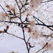 ヒメ日記 2025/04/02 22:12 投稿 櫻子(さくらこ) PLUS梅田店