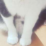 ヒメ日記 2025/04/17 20:02 投稿 櫻子(さくらこ) PLUS梅田店