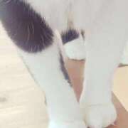 ヒメ日記 2025/11/10 23:22 投稿 櫻子(さくらこ) PLUS梅田店