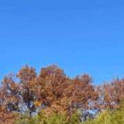 ヒメ日記 2025/12/06 19:22 投稿 櫻子(さくらこ) PLUS梅田店