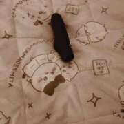 ヒメ日記 2025/12/31 23:12 投稿 櫻子(さくらこ) PLUS梅田店