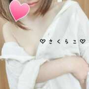 ヒメ日記 2026/02/17 11:52 投稿 櫻子(さくらこ) PLUS梅田店