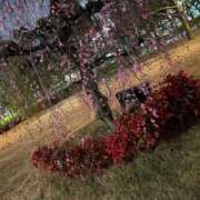 ヒメ日記 2026/02/28 09:12 投稿 櫻子(さくらこ) PLUS梅田店