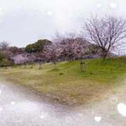 ヒメ日記 2026/04/01 20:45 投稿 櫻子(さくらこ) PLUS梅田店