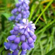 ヒメ日記 2025/03/30 10:12 投稿 一夏【いちか】 丸妻 西船橋店