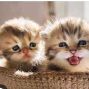 ヒメ日記 2025/05/14 13:06 投稿 一夏【いちか】 丸妻 西船橋店