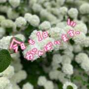 ヒメ日記 2025/05/30 07:30 投稿 一夏【いちか】 丸妻 西船橋店