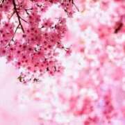 ヒメ日記 2025/07/08 12:35 投稿 一夏【いちか】 丸妻 西船橋店