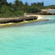 ヒメ日記 2025/07/10 12:17 投稿 一夏【いちか】 丸妻 西船橋店