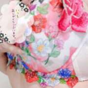 ヒメ日記 2025/08/12 09:00 投稿 一夏【いちか】 丸妻 西船橋店