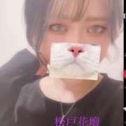 ヒメ日記 2025/10/08 12:07 投稿 一夏【いちか】 丸妻 西船橋店