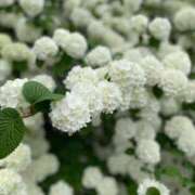 ヒメ日記 2025/12/13 15:10 投稿 一夏【いちか】 丸妻 西船橋店