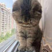 一夏【いちか】 おやすみです… 丸妻 西船橋店