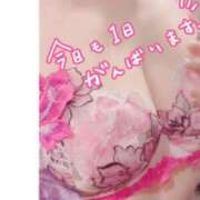 ヒメ日記 2026/03/03 08:33 投稿 一夏【いちか】 丸妻 西船橋店