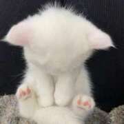 ヒメ日記 2026/03/15 10:13 投稿 一夏【いちか】 丸妻 西船橋店