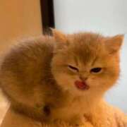 ヒメ日記 2026/03/26 19:09 投稿 一夏【いちか】 丸妻 西船橋店