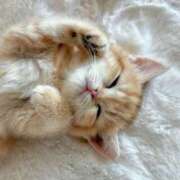 ヒメ日記 2026/03/30 12:35 投稿 一夏【いちか】 丸妻 西船橋店