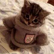 ヒメ日記 2026/04/09 17:19 投稿 一夏【いちか】 丸妻 西船橋店