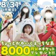 ヒメ日記 2026/08/24 12:49 投稿 一夏【いちか】 丸妻 西船橋店