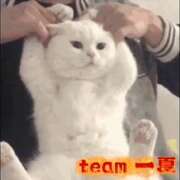 ヒメ日記 2026/10/20 07:10 投稿 一夏【いちか】 丸妻 西船橋店