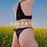 ヒメ日記 2025/04/23 11:50 投稿 五十嵐(いがらし) Ageha（あげは）