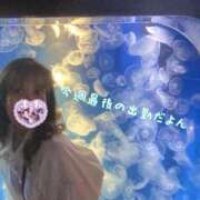 ヒメ日記 2025/05/22 18:06 投稿 五十嵐(いがらし) Ageha（あげは）