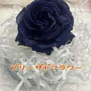 ヒメ日記 2025/06/30 18:02 投稿 五十嵐(いがらし) Ageha（あげは）