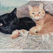 ヒメ日記 2025/08/16 12:03 投稿 五十嵐(いがらし) Ageha（あげは）