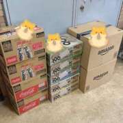 ヒメ日記 2025/10/23 17:07 投稿 五十嵐(いがらし) Ageha（あげは）