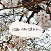 ヒメ日記 2025/04/06 13:31 投稿 るか めっちゃスイスク梅田店