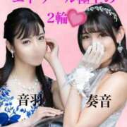 ヒメ日記 2025/05/12 08:17 投稿 音羽 Etoile（エトワール）