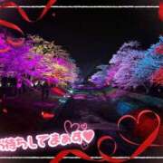 ヒメ日記 2025/04/24 21:03 投稿 いちか ルージュ(会津若松)