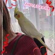 ヒメ日記 2025/05/04 19:57 投稿 いちか ルージュ(会津若松)