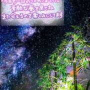 いちか 七夕🎋 ルージュ(会津若松)