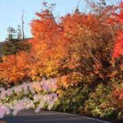 ヒメ日記 2026/10/12 13:53 投稿 いちか ルージュ(会津若松)
