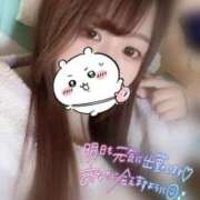 ヒメ日記 2025/01/09 08:20 投稿 いまり 新宿サンキュー