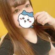 ヒメ日記 2025/05/04 09:01 投稿 いまり 新宿サンキュー