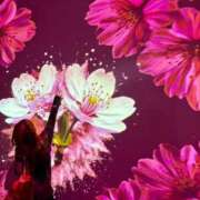 リンカ秘書 4/18  お礼♥️ 秘書の品格 クラブアッシュ ヴァリエ