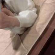 ヒメ日記 2025/11/08 08:57 投稿 ゆゆ ハッピーブリッジ