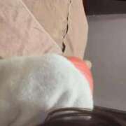 ヒメ日記 2025/11/12 08:57 投稿 ゆゆ ハッピーブリッジ