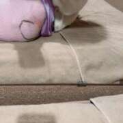 ゆゆ まいめろ🐰︎💕︎ ハッピーブリッジ