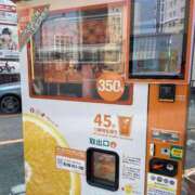 ヒメ日記 2025/08/31 13:53 投稿 聖(ひじり) 那珂川角海老