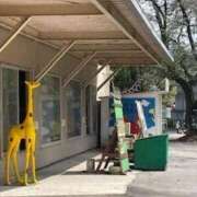 ヒメ日記 2025/09/12 19:57 投稿 聖(ひじり) 那珂川角海老