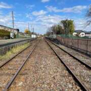 ヒメ日記 2025/11/21 11:53 投稿 聖(ひじり) 那珂川角海老