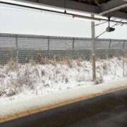 ヒメ日記 2025/12/26 20:33 投稿 聖(ひじり) 那珂川角海老