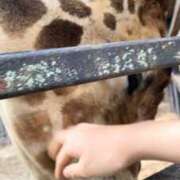 ヒメ日記 2025/12/27 10:08 投稿 聖(ひじり) 那珂川角海老