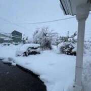 ヒメ日記 2025/12/29 06:13 投稿 聖(ひじり) 那珂川角海老