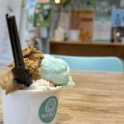 ヒメ日記 2026/02/01 23:53 投稿 聖(ひじり) 那珂川角海老